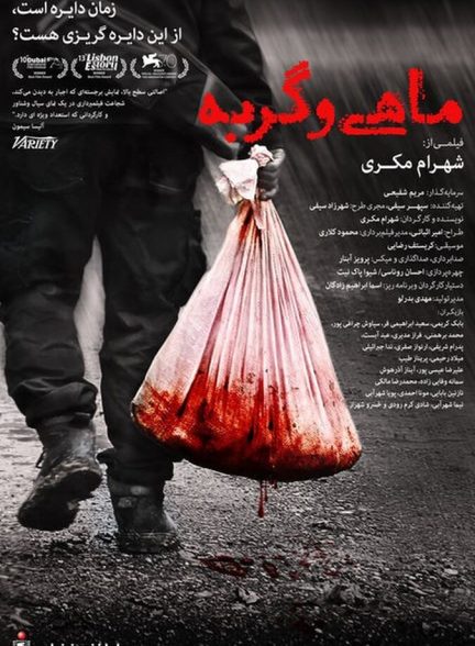 ماهی و گربه