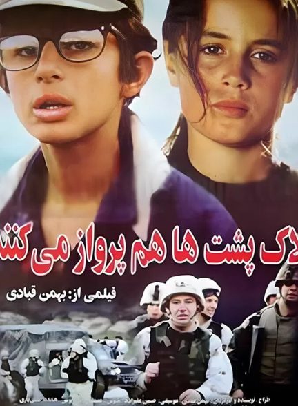 لاک پشت ها پرواز نمی کنند