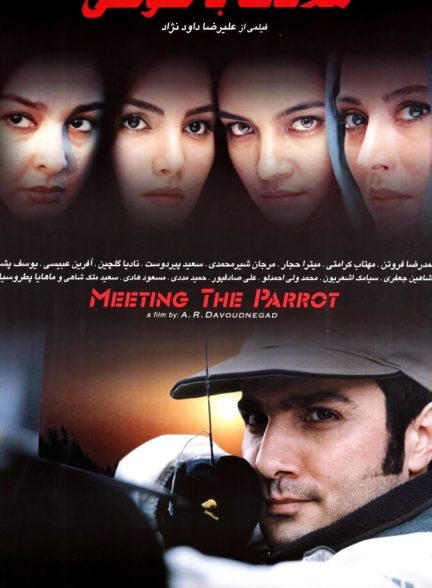 ملاقات با طوطی
