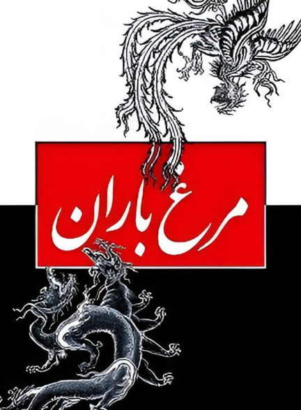 مرغ باران